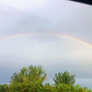 Meet your Posher, Liora